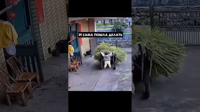 Когда решил все сам