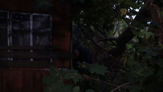 ЛОЗКИ и ЩОРСЫ 2022 год. смотреть онлайн