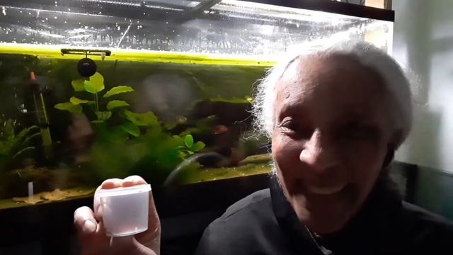 Don't Feed Your Fish Stale Food