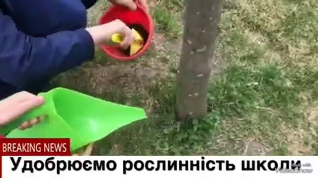 Екологічний проект "Компола" смотреть онлайн