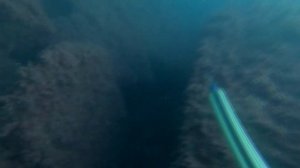 ГОРБЫЛЕВОЕ МЕСТО.  ПОДВОДНАЯ ОХОТА В ЧЕРНОМ МОРЕ