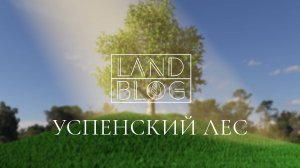 На объекте спустя год | Проект сада "Успенский Лес"