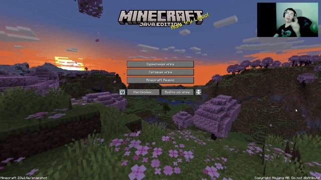 НОВЫЙ ФУНКЦИОНАЛ СКАЛК- КРИКУНА в МАЙНКРАФТЕ 1.20 | Обзор на Снапшот 23w14a смотреть онлайн