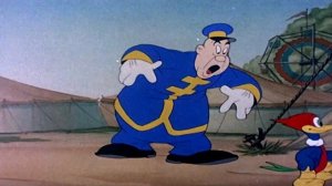 Woody Woodpecker | The Dizzy Acrobat | Full Episodes