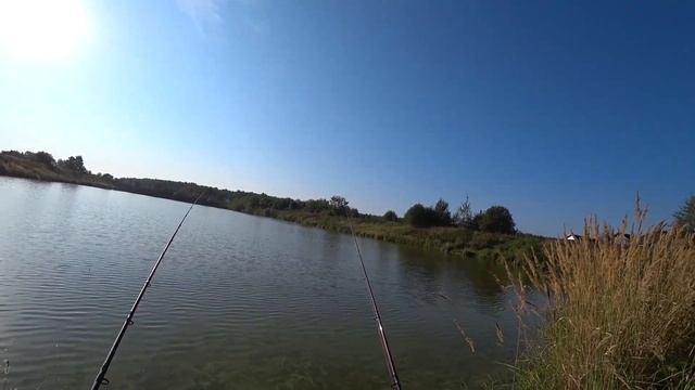 Рыбалка на Карася в Сентябре! Поймал!? смотреть онлайн