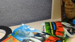 распаковка дойстаричиские хишники сбабам.mp4