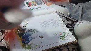 физ-ра и лит-ра