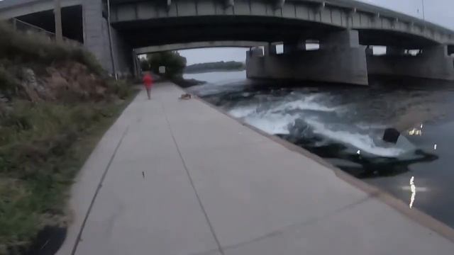 Tiny Jerkbait Megabass X-70 (BFS)