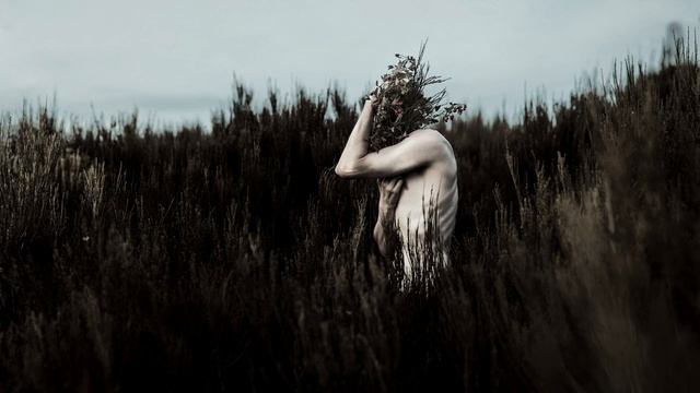SHDDR - Magnus (Original Mix) смотреть онлайн