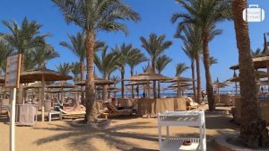 Обзор отеля Albatros Palace Resort 5* в Хургаде (Египет) от менеджера Discount Travel