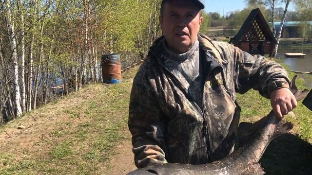 14.05.17 ещё фишка Петряиха ещё один осётр крупный смотреть онлайн