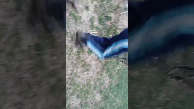 Окунь в вершу(морду) смотреть онлайн