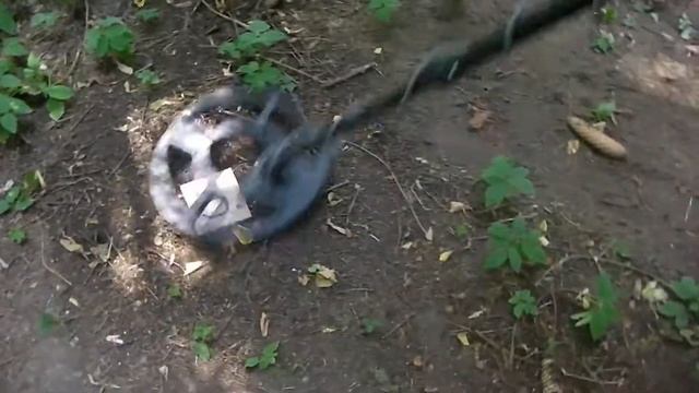 Whites MXT Pro + Super 12" смотреть онлайн