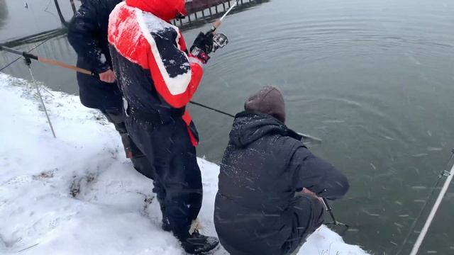 Поимка на резину смотреть онлайн