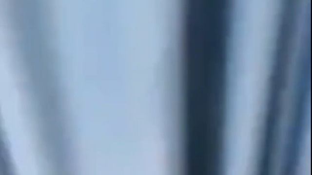 ЗАБАВНЫЕ КОШКИ смотреть онлайн