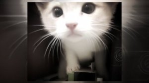 Linkin Park - More the Victim (Speed up)