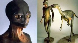 Если инопланетяне существуют, насколько вероятно, что они окажутся гуманоидами