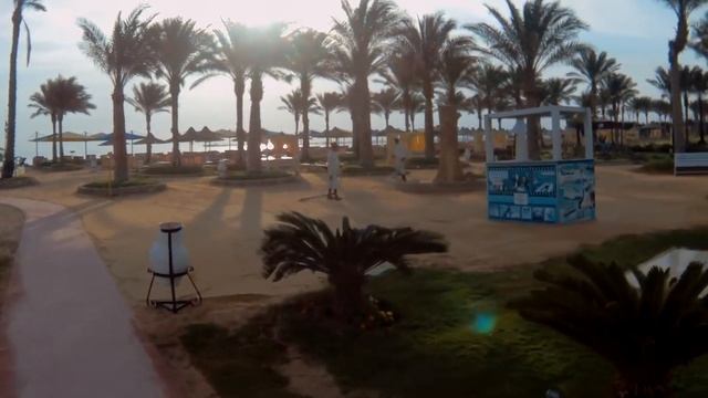 Выбор отеля в Шарме. Royal Albatros Moderna 5* - Полный обзор 2019 Sharm El-Sheikh