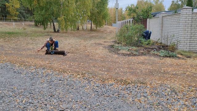Бочок с усложнением смотреть онлайн