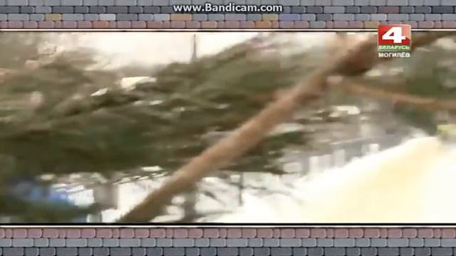 Могилевский зоосад Встретимся у Звездочета 09 02 2017 смотреть онлайн