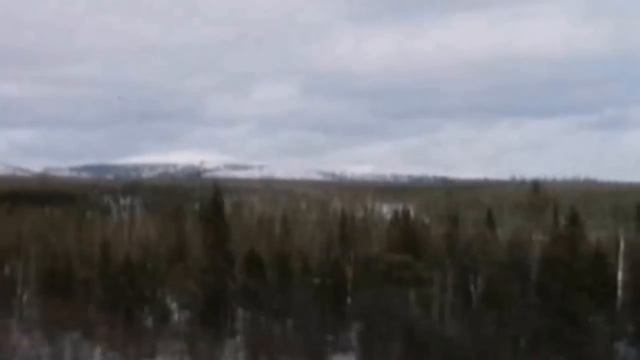 Бояны Белого Креста. Выпуск 3. Арсений Несмелов