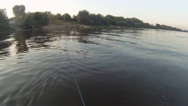 Fish Season FOGEL FOG702EXL 20 и Tsuribito Deep Shad 55F