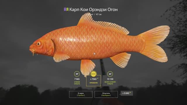 Рр4. Медное без ПВА.