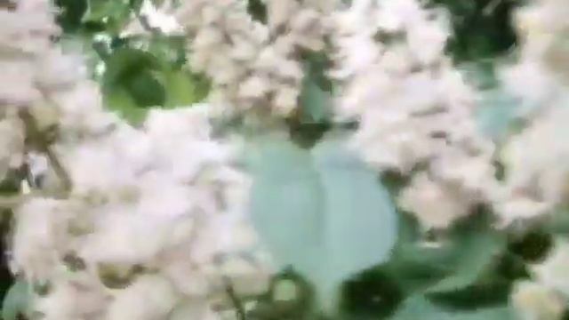 Київ Киев Kyiv 1983