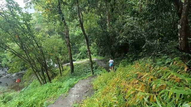Паттайя Pattaya waterfall смотреть онлайн