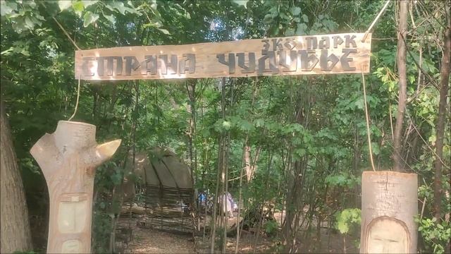 Белгород Дуб долгожитель в лесопарке посёлка Дубовое в 6 км от Белгорода Июль 2024 год смотреть онлайн