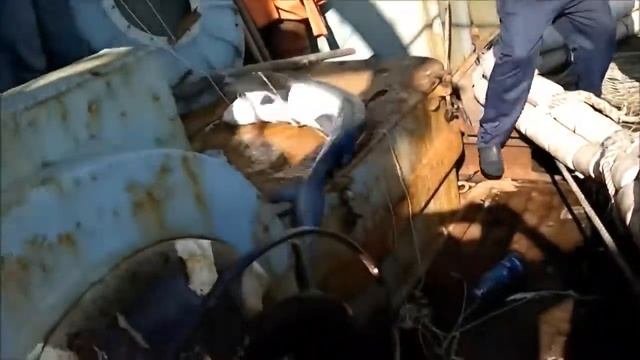 Путина сайра. Район Курильские острова о Шикотан смотреть онлайн