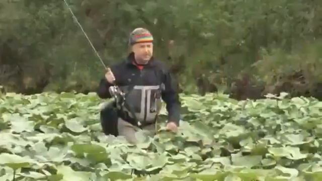 Хочется хороших новостей...хочется счастливых предсказаний...