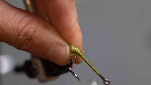 The Ultimate Frog Popper Fly: Backwater VLOG #16