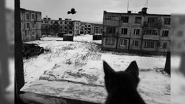 Symphony No.13 - Mieczysław Weinberg смотреть онлайн