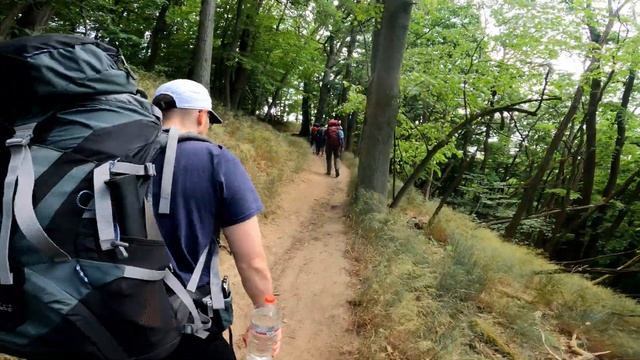 TRAILWANDERN | Schwerer Sturz im gefährlichsten Wald Brandenburgs смотреть онлайн