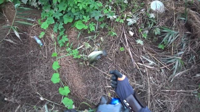 Охота с Рогаткой по реке(АРХИВ)SLINGSHOT FISHING смотреть онлайн