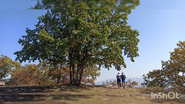 Чертов палец 5сент2023л смотреть онлайн