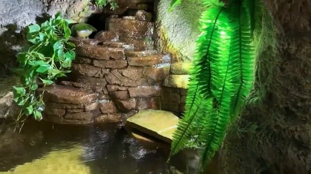 Сочи, парк Ривьера, Океанариум. смотреть онлайн