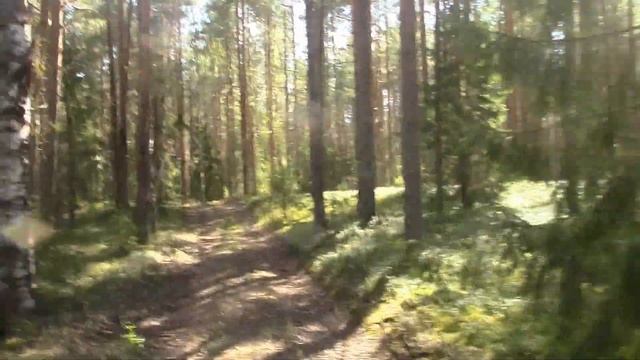 Одиночный 3-х дневный поход по очень красивым местам ч.2. Нож от РВС. Немного о снаряжении. смотреть онлайн