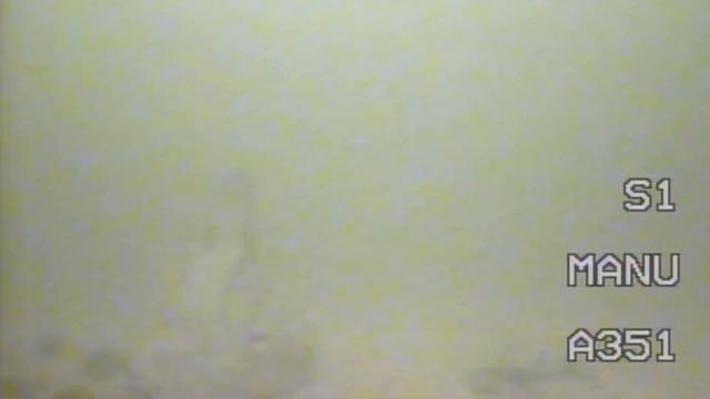 Савельево. Мир под водой. смотреть онлайн