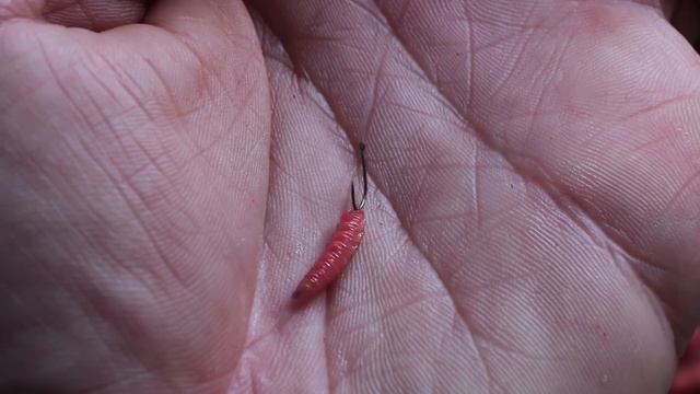 Whip Fishing the River Trent | Alan Scotthorne | Match Fishing смотреть онлайн