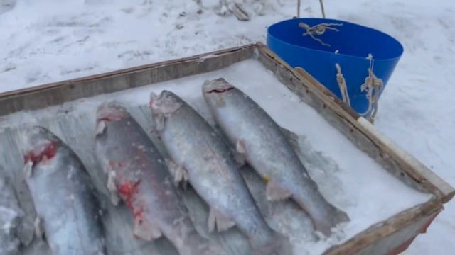 Андрей ловил на малька смотреть онлайн