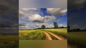 Тучки белые. Симон Хорольский.