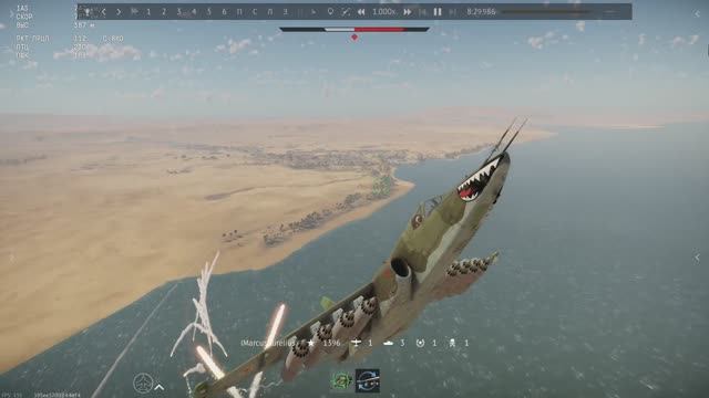 Грачи прилетели