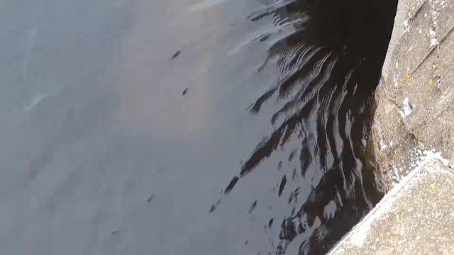 Озеро Сабро 04.01.2020 г. река опять перегорожена новым бетонным блоком смотреть онлайн