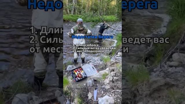Что выбрать для рыбалки? Берег или лодку. #fish#fishing#automobile#carpfishing#nature#car смотреть онлайн