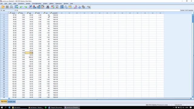 Introduction to SPSS and how to use it remotely смотреть онлайн