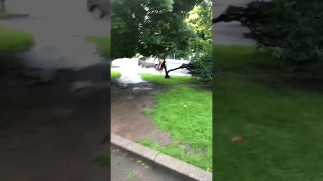 Наивный депутат Майкл Конев смотреть онлайн