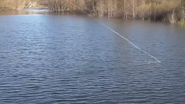 Шнур Scandi от Kola Salmon смотреть онлайн