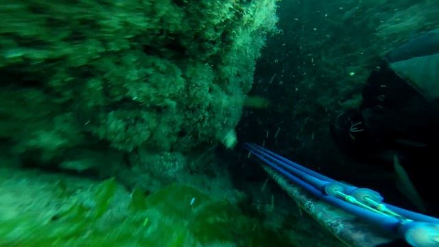 Подводная охота в Крыму смотреть онлайн